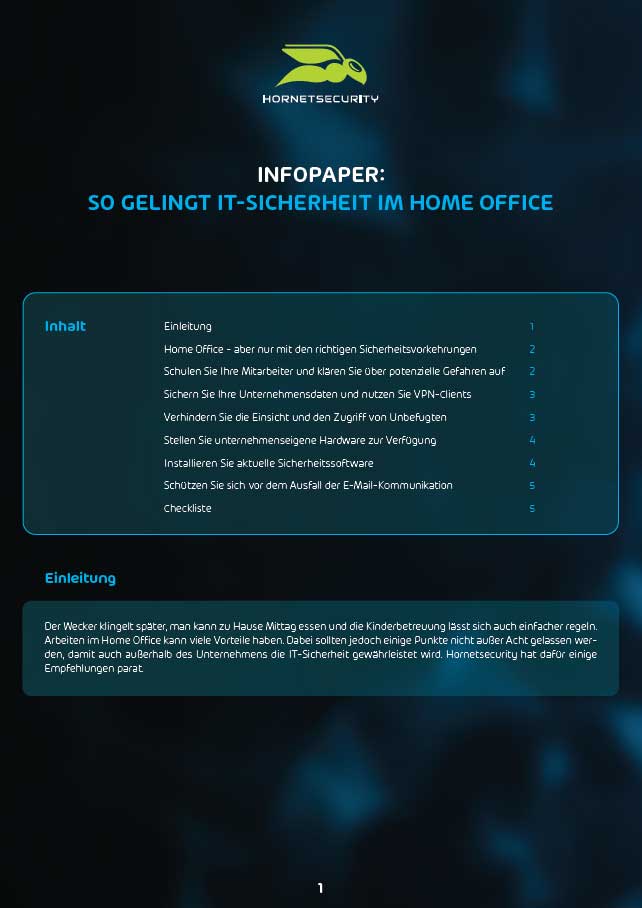 IT Sicherheit im Homeoffice - Hornetsecuritcy Infopaper